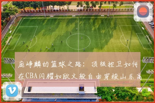 庞峥麟的篮球之路：顶级控卫如何在CBA闪耀如欧文般自由穿梭山东高速